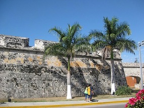 - the walls