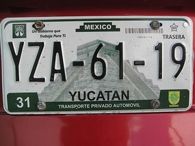 - licence plate