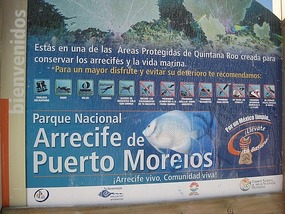 - Puerto Morelos