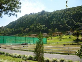 - tennis courts