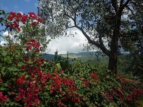 - view into the distant Highlands