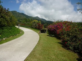 - entry to garden