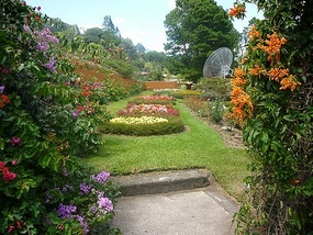 - beautiful arrangements