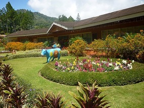 - the main residence
