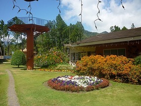 the observation deck
