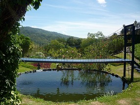 - suspension bridge over pond