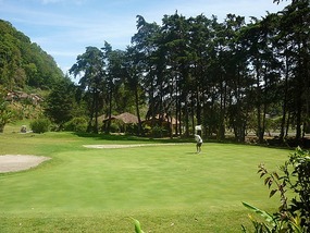 - let's play golf