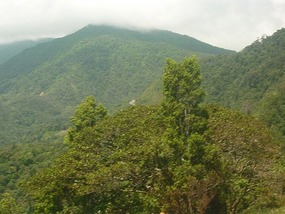 - heading into the Chiriqui Highlands