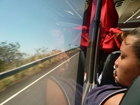 - enjoying the scenery