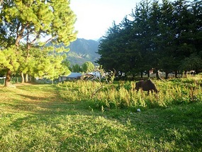 - view behind the Hotel Cerro Punta