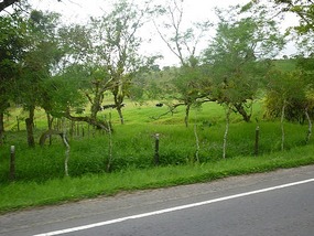 - a beautiful bus ride to Volcán