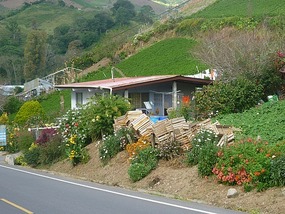 - homes in Guadalupe