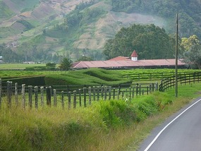 - gorgeous setting