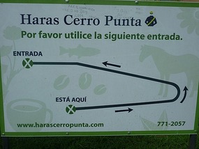 - how to get to Haras Cerro Punta ( race horses)