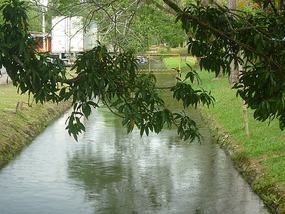 - the canal