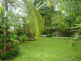 - the beautiful garden of The Book Mark