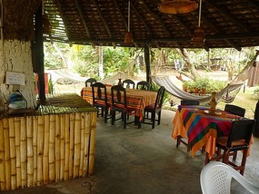 - Dim's Hostal