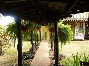 - Dim's Hostal
