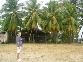 - on the beach
