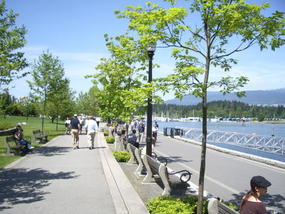 07-good look at seawall
