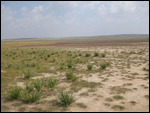 Dried Up Lake
