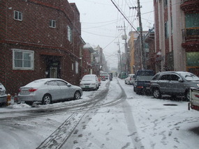big wet flurries