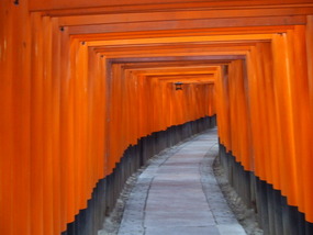 Fushimi Trail Continues