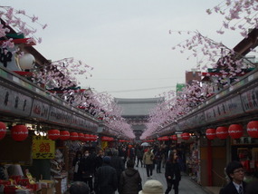 Path to Senso-Ji Temple