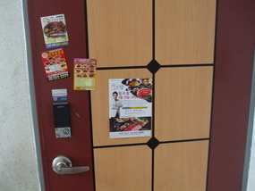 My Apartment door plastered with magnet ads