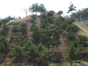More Tombs on Hill Beside