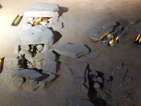 Skeletal Remains