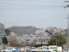 Chilgok Temple from Afar