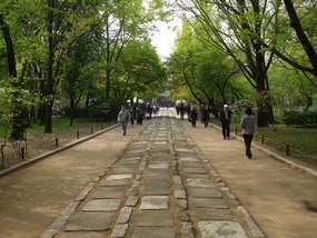 Stone Path from Entrance