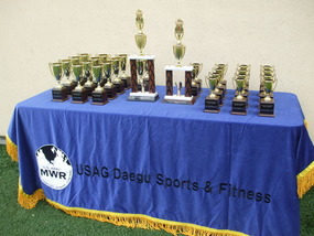 Tournament Tropies