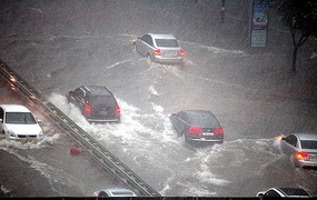 Cars Trying to Drive
