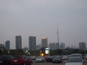 Toronto Evening Skyline 