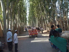 Road to Market