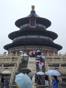 Visitors in the Rain