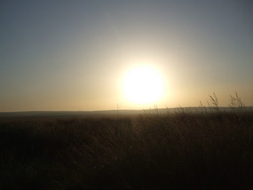 Sun Shines on Grass