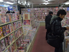Akihabara Manga Porn - No.1 Most Visited Pic 