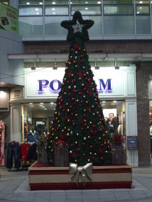 Christmas Tree in Chilgok