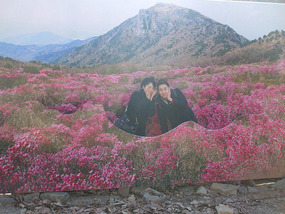 Standing in Photo Zone