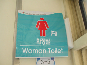Womens Toilet