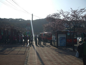 Bus Line Up Back