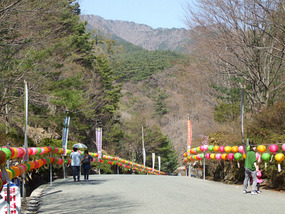 Entrance Path