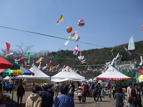 Festival Tents and Balloons
