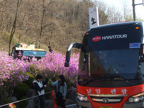 Hana Tours Bus