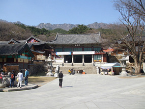 Main Complex