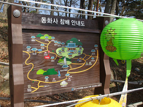 Map of Complex