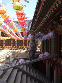 Monk Hangs Lanterns
